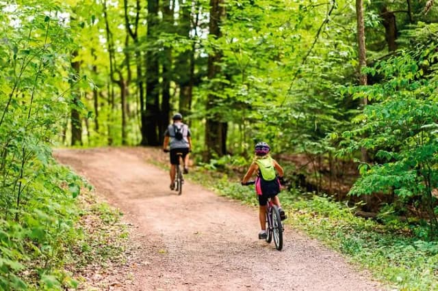 Najlepsze trasy rowerowe w Wielkopolsce - odkryj piękno regionu Najlepsze trasy rowerowe w Wielkopolsce - odkryj piękno regionu