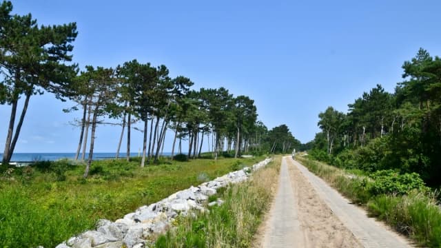 Trasy rowerowe Jarosławiec mapa - odkryj najlepsze szlaki rowerowe Trasy rowerowe Jarosławiec mapa - odkryj najlepsze szlaki rowerowe