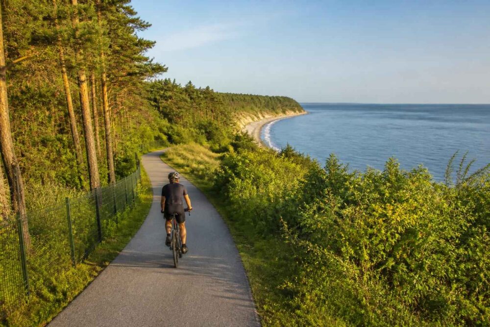 Rowerzysta jedzie asfaltową ścieżką przez las, nad zatoką z piaszczystą plażą w tle